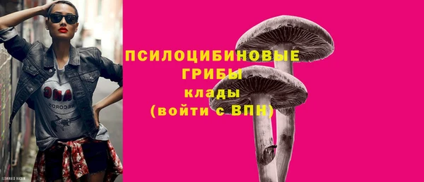 хмурый Краснослободск