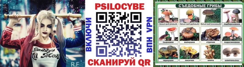 Купить закладки  Маркс  Псилоцибиновые грибы прущие грибы 